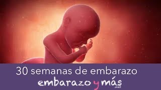 30 semanas de embarazo  Séptimo mes  EMBARAZOYMAS [upl. by Petronia]