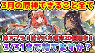 【原神】3月の原神でできること全て紹介！紡がれた運命20個配布！331まで待てますか！？【GenshinImpactげんしん】ディシアセノ神里綾華申鶴ミカ原石イベント※リークなし [upl. by Ajnat880]