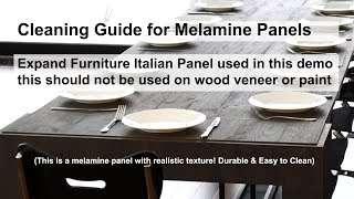 Guide Cleaning Melamine  Removing Permanent Marker and Deep Stains [upl. by Arne]