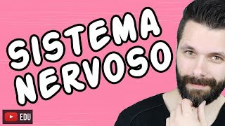 SISTEMA NERVOSO  FISIOLOGIA  Aula  Biologia com Samuel Cunha [upl. by Yurik557]