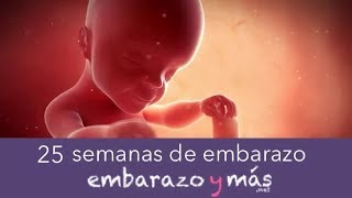 25 semanas de embarazo  Sexto mes  EMBARAZOYMAS [upl. by Ahsila]