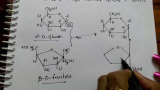 Disachharides Sucrose Maltose and Lactose Chemistry [upl. by Lynn]