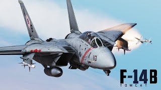 DCS F14  PreOrder  Gameplay Reveal Trailer  OUT NOW [upl. by Aamsa]