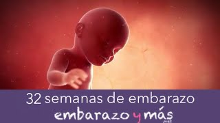 32 semanas de embarazo  Octavo mes  EMBARAZOYMAS [upl. by Nylrebma]