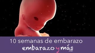 10 semanas de embarazo  Tercer mes  EMBARAZOYMAS [upl. by Atteras104]