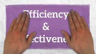 Efficiency amp Effectiveness 3 Levels of Managers [upl. by Hamish]