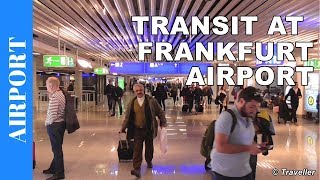 TRANSIT WALK AT FRANKFURT Airport FRA Terminal 1  Connection Flight Transfer Arriving amp Departing [upl. by Notniw744]